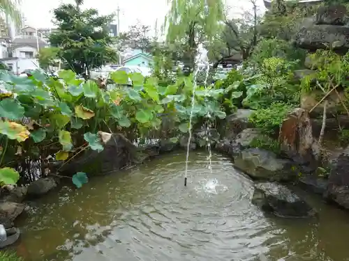 高幡不動尊　金剛寺の庭園