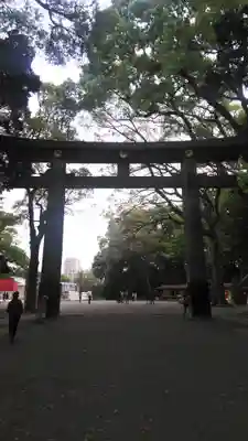 明治神宮の鳥居