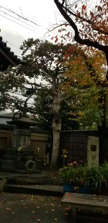 燈明寺のその他建物