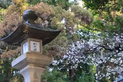 豊景神社の自然