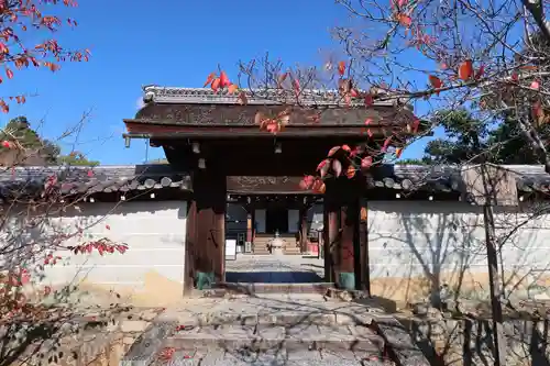 仁和寺(京都府)