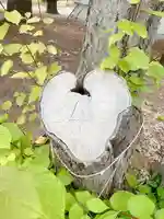 大谷地神社の自然