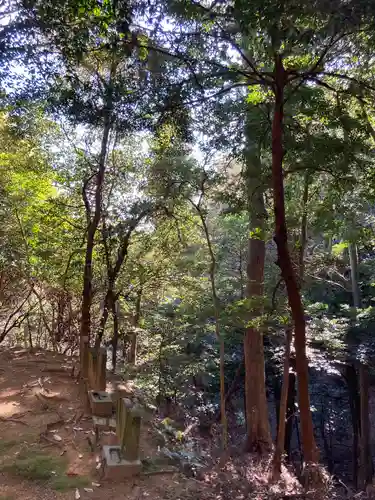 八葉寺のお墓