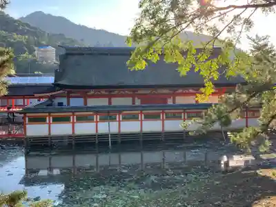 厳島神社(広島県)