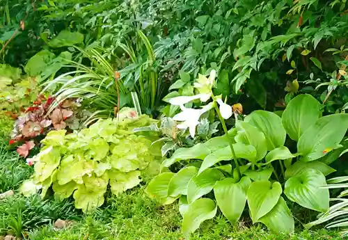 寿量山　速成寺の自然