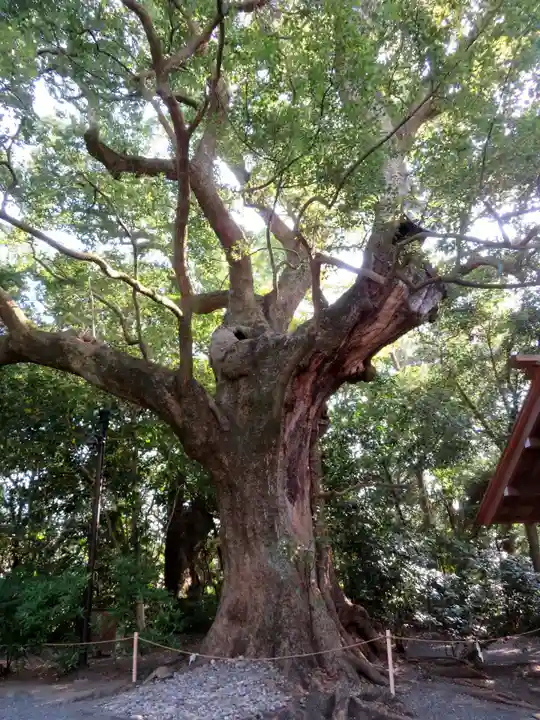 月夜見宮(豊受大神宮別宮)の自然