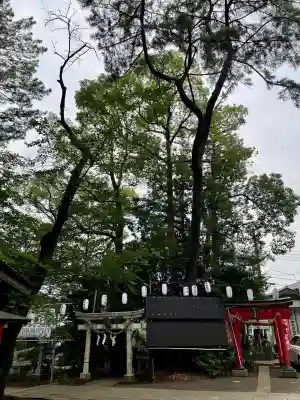 西堀氷川神社(埼玉県)