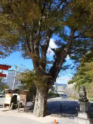 塩屋神社の自然