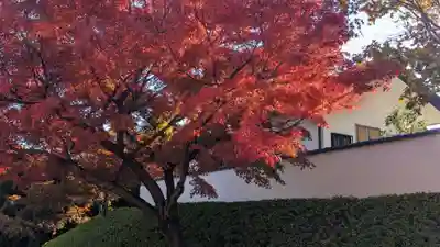 宝徳寺(群馬県)