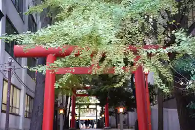 花園神社の鳥居