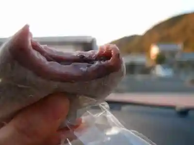 花窟神社の食事