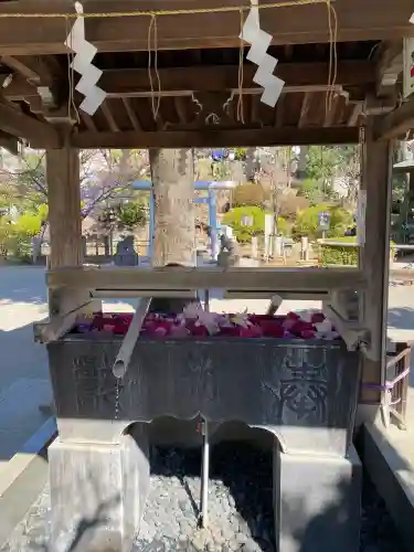 鳩森八幡神社の{uncategorized: "未分類", other: "その他", undefined: "問題あり", building: "その他建物", grave: "お墓", sacred_gate: "鳥居", guardian: "狛犬", statue: "像", buddha: "仏像", history: "歴史", nature: "自然", garden: "庭園", animal: "動物", pagoda: "塔", temizu: "手水舎", mountain_gate: "山門・神門", sanctuary: "本殿・本堂", subordinate: "末社・摂社", art: "芸術", scenery: "景色", jizo: "地蔵", ema: "絵馬", goshuin: "御朱印", omikuji: "おみくじ", items: "授与品その他", amulet: "お守り", goshuincho: "御朱印帳", eats: "食事", festival: "お祭り", votive_dance: "神楽", shichigosan: "七五三参", wedding: "結婚式", experience: "体験その他", initially: "初詣", around: "周辺", anti_infection: "感染症対策"}