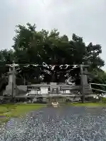沖宮の{uncategorized: "未分類", other: "その他", undefined: "問題あり", building: "その他建物", grave: "お墓", sacred_gate: "鳥居", guardian: "狛犬", statue: "像", buddha: "仏像", history: "歴史", nature: "自然", garden: "庭園", animal: "動物", pagoda: "塔", temizu: "手水舎", mountain_gate: "山門・神門", sanctuary: "本殿・本堂", subordinate: "末社・摂社", art: "芸術", scenery: "景色", jizo: "地蔵", ema: "絵馬", goshuin: "御朱印", omikuji: "おみくじ", items: "授与品その他", amulet: "お守り", goshuincho: "御朱印帳", eats: "食事", festival: "お祭り", votive_dance: "神楽", shichigosan: "七五三参", wedding: "結婚式", experience: "体験その他", initially: "初詣", around: "周辺", anti_infection: "感染症対策"}
