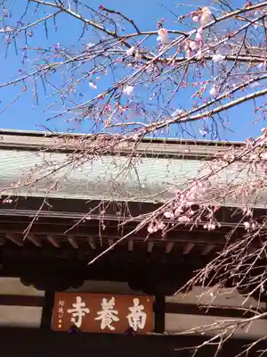 南養寺の本殿・本堂