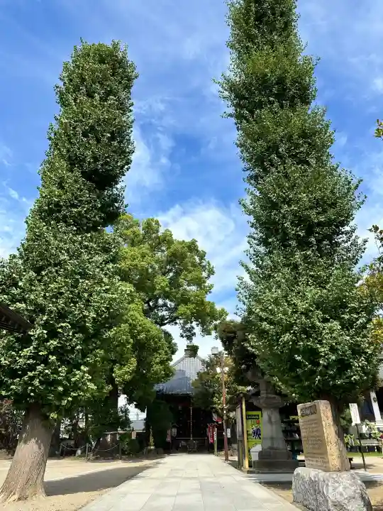 龍泉寺(足利厄除大師)(栃木県)