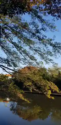東稲荷神社の自然