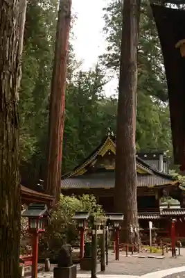 日光二荒山神社(栃木県)