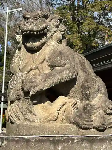 鎮守氷川神社の狛犬