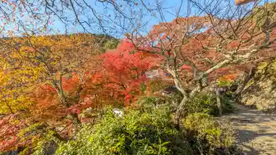 善峯寺(京都府)