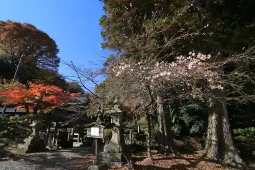 鹿島大神宮の庭園