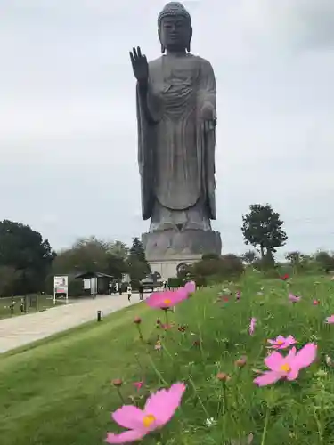 東本願寺本廟 牛久浄苑（牛久大仏）の仏像