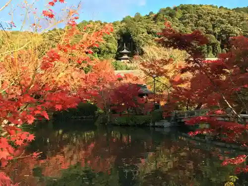 禅林寺（永観堂）の景色