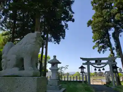 吉住熊野神社の狛犬