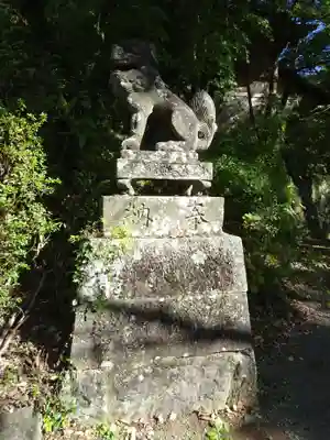 菊池神社の狛犬