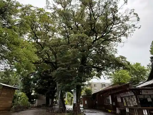 大宮・大原神社(千葉県)