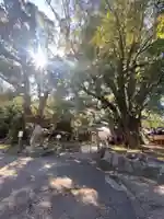 藤白神社(和歌山県)