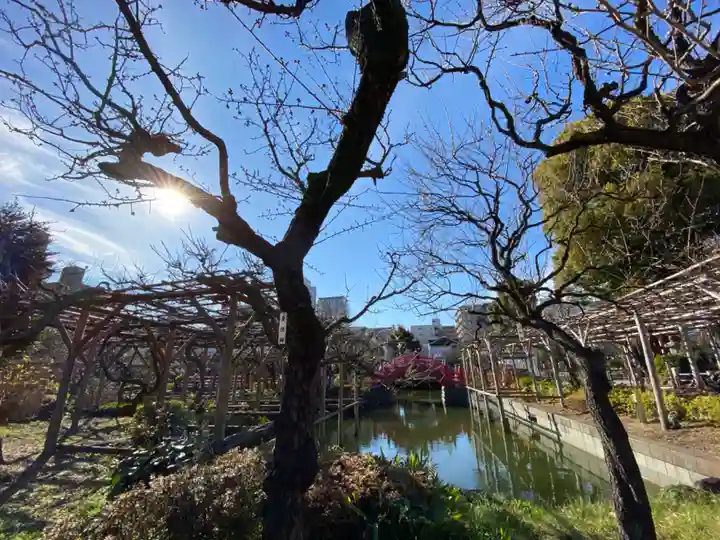 亀戸天神社の庭園