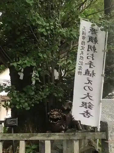 海南神社(神奈川県)
