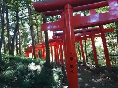 烏子稲荷神社の鳥居