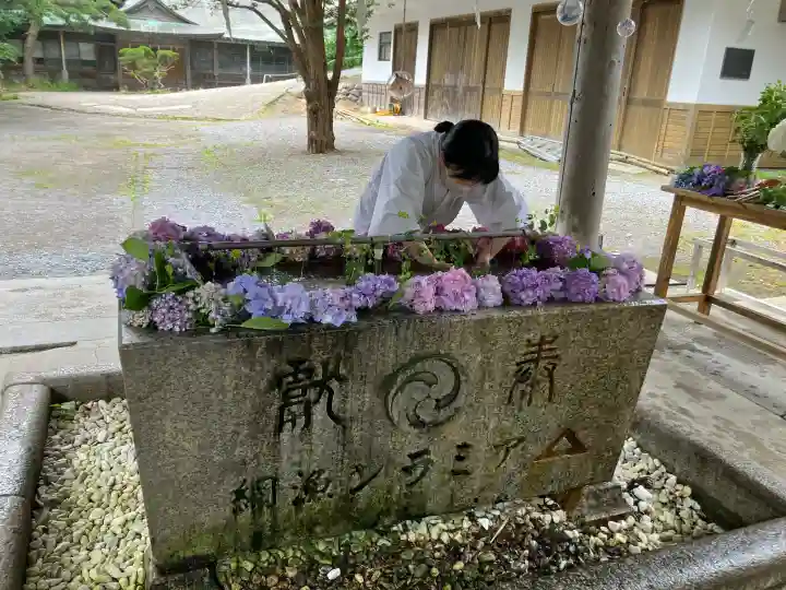 函館八幡宮(北海道)