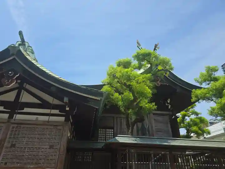 今宮戎神社(大阪府)