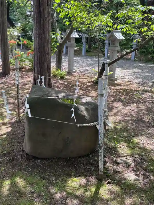 信濃神社の{uncategorized: "未分類", other: "その他", undefined: "問題あり", building: "その他建物", grave: "お墓", sacred_gate: "鳥居", guardian: "狛犬", statue: "像", buddha: "仏像", history: "歴史", nature: "自然", garden: "庭園", animal: "動物", pagoda: "塔", temizu: "手水舎", mountain_gate: "山門・神門", sanctuary: "本殿・本堂", subordinate: "末社・摂社", art: "芸術", scenery: "景色", jizo: "地蔵", ema: "絵馬", goshuin: "御朱印", omikuji: "おみくじ", items: "授与品その他", amulet: "お守り", goshuincho: "御朱印帳", eats: "食事", festival: "お祭り", votive_dance: "神楽", shichigosan: "七五三参", wedding: "結婚式", experience: "体験その他", initially: "初詣", around: "周辺", anti_infection: "感染症対策"}
