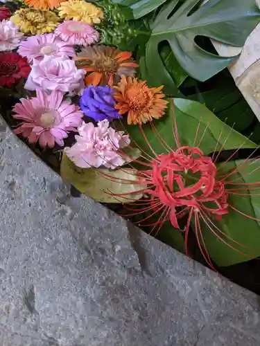 草薙神社の手水