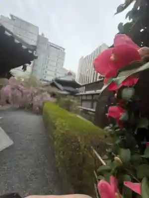 頂法寺（六角堂）(京都府)
