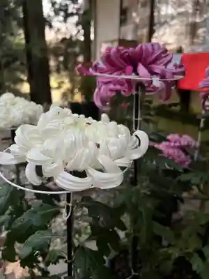 大宮温泉神社(栃木県)