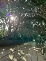 酒列磯前神社の自然