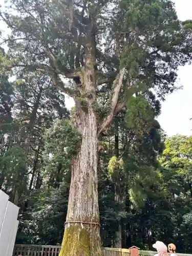 霧島神宮(鹿児島県)