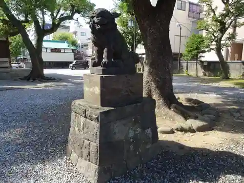 橘樹神社の狛犬