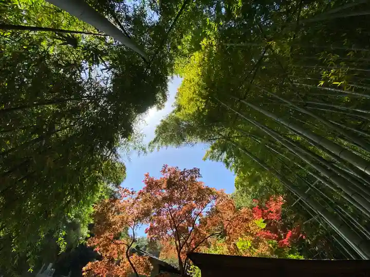 報国寺(神奈川県)
