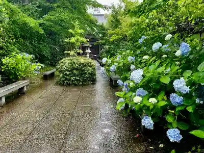 資福寺の{uncategorized: "未分類", other: "その他", undefined: "問題あり", building: "その他建物", grave: "お墓", sacred_gate: "鳥居", guardian: "狛犬", statue: "像", buddha: "仏像", history: "歴史", nature: "自然", garden: "庭園", animal: "動物", pagoda: "塔", temizu: "手水舎", mountain_gate: "山門・神門", sanctuary: "本殿・本堂", subordinate: "末社・摂社", art: "芸術", scenery: "景色", jizo: "地蔵", ema: "絵馬", goshuin: "御朱印", omikuji: "おみくじ", items: "授与品その他", amulet: "お守り", goshuincho: "御朱印帳", eats: "食事", festival: "お祭り", votive_dance: "神楽", shichigosan: "七五三参", wedding: "結婚式", experience: "体験その他", initially: "初詣", around: "周辺", anti_infection: "感染症対策"}