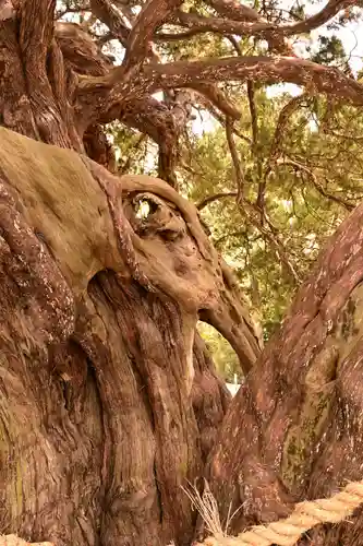 寶生院(香川県)