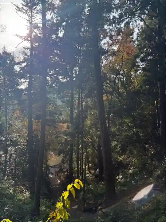 金刀比羅神社(岡山県)