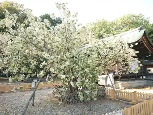 上地八幡宮の庭園