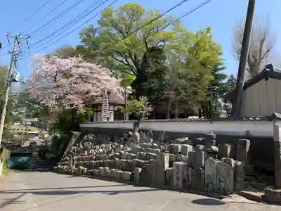 常福寺(茨城県)
