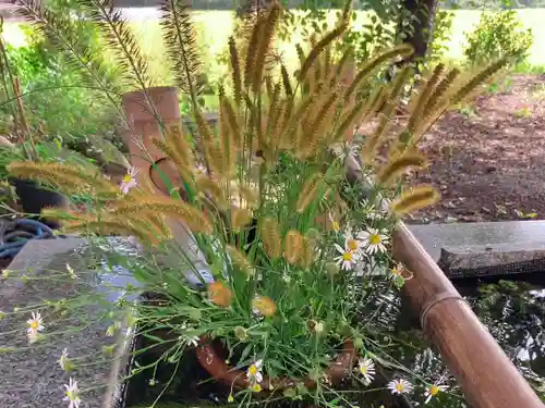 高司神社〜むすびの神の鎮まる社〜(福島県)