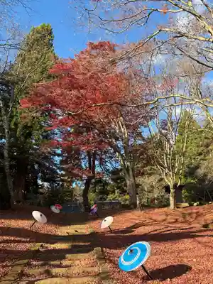 土津神社｜こどもと出世の神さま(福島県)